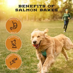 Boulder Dog Food Company Salmon Bakes Crunchy Dog Treats, 16-oz bag slide 2 of 6