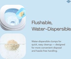 FEELING BEST Natural Tofu with Flushable, Ultra Absorbent & Fast Drying, Orginal2 Clumping Cat Litter, 5.6-Ib box, 2 count slide 2 of 9