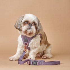 DOGISTRY SoHo No Pull Dog Harness, Lilac Gray, Small: 13 to 14.5-in chest, Step-In slide 2 of 6