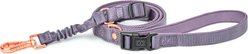DOGISTRY 3-in-1 City Dual Clip Standard Dog Leash, Lilac Gray, Medium: 5-ft long, 3/4-in wide, Adjustable, Clip Handle