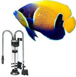 Aquatop Media Reactor, Black/Gray, 20-gal slide 2 of 6