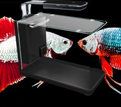 Aquatop Pisces Nano Bullet Shaped Glass, Silicone & Ceramic Aquarium Kit, with Touch LED & Filter, Black, 5-gal slide 2 of 6