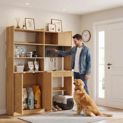 Saudism 63-in Tall Dog & Cat Storage Cabinet with Charging Station, Brown slide 1 of 7