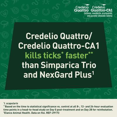 Show full view: Credelio Quattro/Credelio Quattro-CA1 Chewable Tablets for Dogs, 12.1-25 lbs, 6 Chewables (6-mos. supply) slide 6 of 9