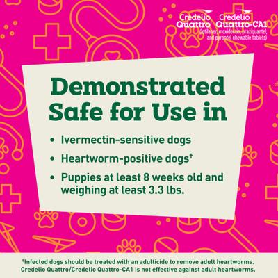 Show full view: Credelio Quattro/Credelio Quattro-CA1 Chewable Tablets for Dogs, 12.1-25 lbs, 6 Chewables (6-mos. supply) slide 8 of 9