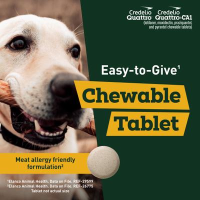 Show full view: Credelio Quattro/Credelio Quattro-CA1 Chewable Tablets for Dogs, 50.1-100 lbs, 1 Chewable (1-mo. supply) slide 5 of 9