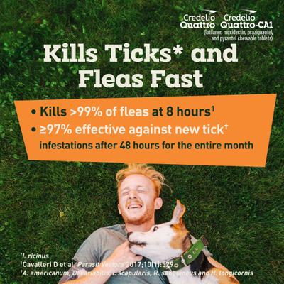Show full view: Credelio Quattro/Credelio Quattro-CA1 Chewable Tablets for Dogs, 25.1-50 lbs, 1 Chewable (1-mo. supply) slide 7 of 9