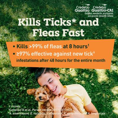 Show full view: Credelio Quattro/Credelio Quattro-CA1 Chewable Tablets for Dogs, 6.1-12 lbs, 6 Chewables (6-mos. supply) slide 7 of 9