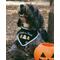 Show in main carousel: The Deluxe Pup DeluxeFIT Trick-or-Treat Dog Bandana, XX-Small slide 4 of 6