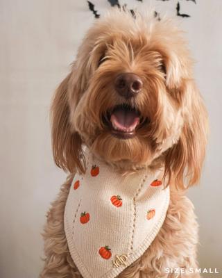 Show full view: The Deluxe Pup DeluxeFIT Pumpkin Dog Bandana, Large slide 4 of 5
