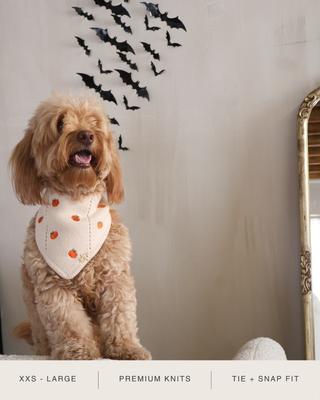 Show full view: The Deluxe Pup DeluxeFIT Pumpkin Dog Bandana, Large slide 3 of 5