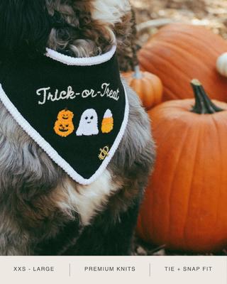 Show full view: The Deluxe Pup DeluxeFIT Trick-or-Treat Dog Bandana, XX-Small slide 3 of 6