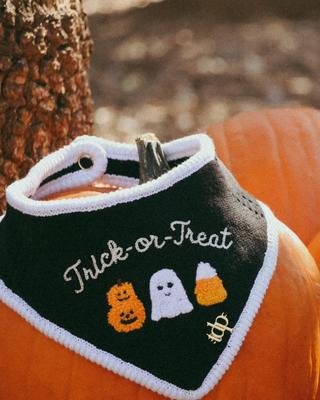 Show full view: The Deluxe Pup DeluxeFIT Trick-or-Treat Dog Bandana, XX-Small slide 5 of 6