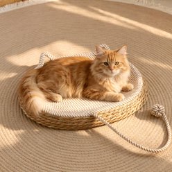 DOPZER Scratcher Lounge Cat Bed, Khaki, Medium