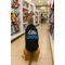 Show in main carousel: Parisian Pet Little Wingman Embroidered Cool Cotton Dog T-Shirt, Large slide 3 of 4