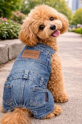 Parisian Pet Denim Stylish Overalls Durable & Trendy Overalls Jumpsuit for Dogs & Cats, Blue, Large slide 2 of 4