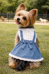 Parisian Pet Chambray Overall Dress Sleeveless Denim Dog Summer Outfit, Large slide 2 of 4