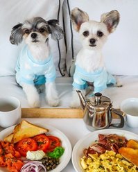 Parisian Pet Cloud Cozy Cotton Pajama Sleepwear for Dogs & Cats, Blue, Small slide 2 of 4
