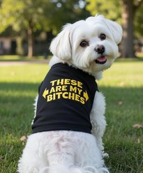 Parisian Pet These Are My Bitches Embroidered Bold Dog T-Shirt, Black, X-Large slide 2 of 4