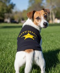 Parisian Pet Sheriff Embroidered Western Cotton Dog T-Shirt, Black, Medium slide 2 of 4