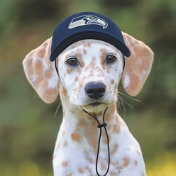 Pets First NFL Seattle Seahawks Adjustable Cord Dog Cap, Team Color, Small/Medium slide 2 of 6