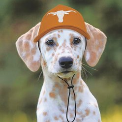 Pets First NCAA Texas Adjustable Cord Dog Cap, Team Color, Small/Medium slide 2 of 6