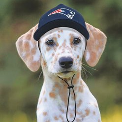 Pets First NFL New England Patriots Adjustable Cord Dog Cap, Team Color, Large/X-Large slide 2 of 6