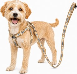 Touchdog Caliber Designer Embroidered Fashion Dog & Cat Leash & Harness, Brown, Medium