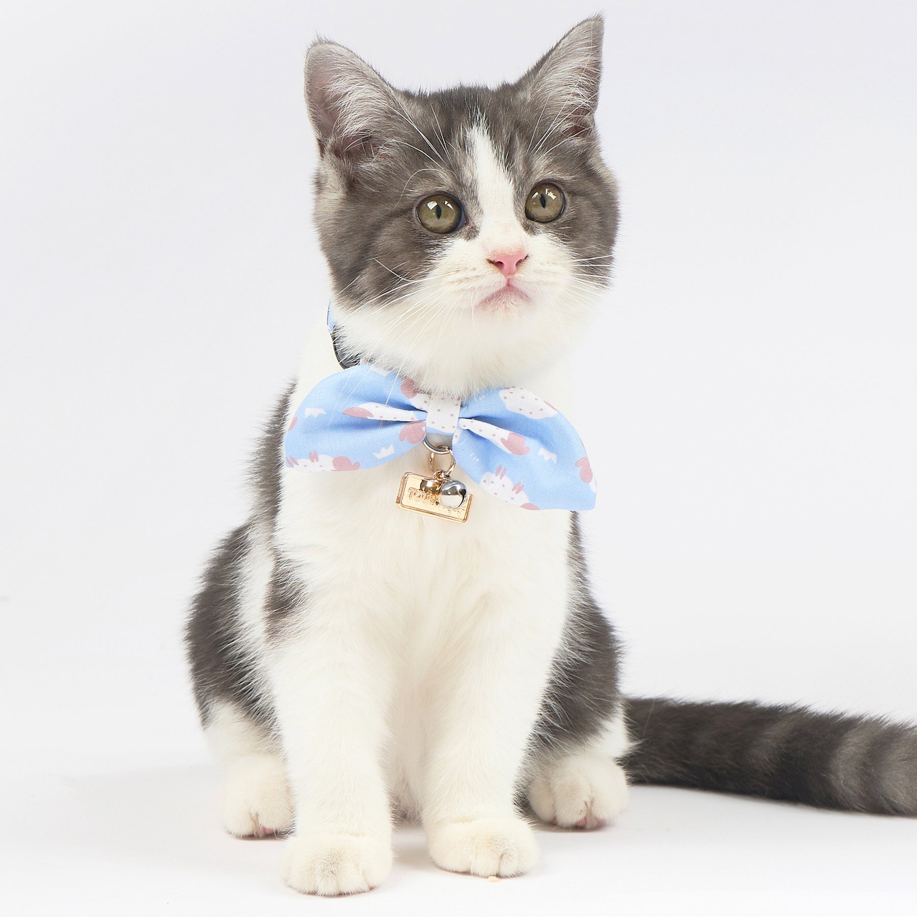 Touchcat Shepherd Polyester Cat Collar with Bow, Blue, Small: 5.9 to 9-in neck, 0.39-in wide