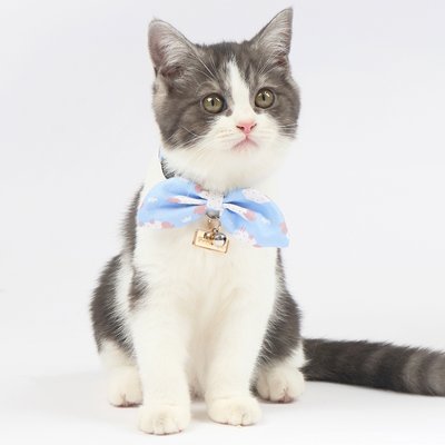 Touchcat Touchcat Shepherd Polyester Cat Collar with Bow, Blue, Large: 7.87 to 11.81-in neck, 0.39-in wide