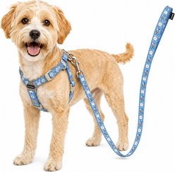 Touchdog Caliber Designer Embroidered Fashion Dog & Cat Leash & Harness, Blue, Medium