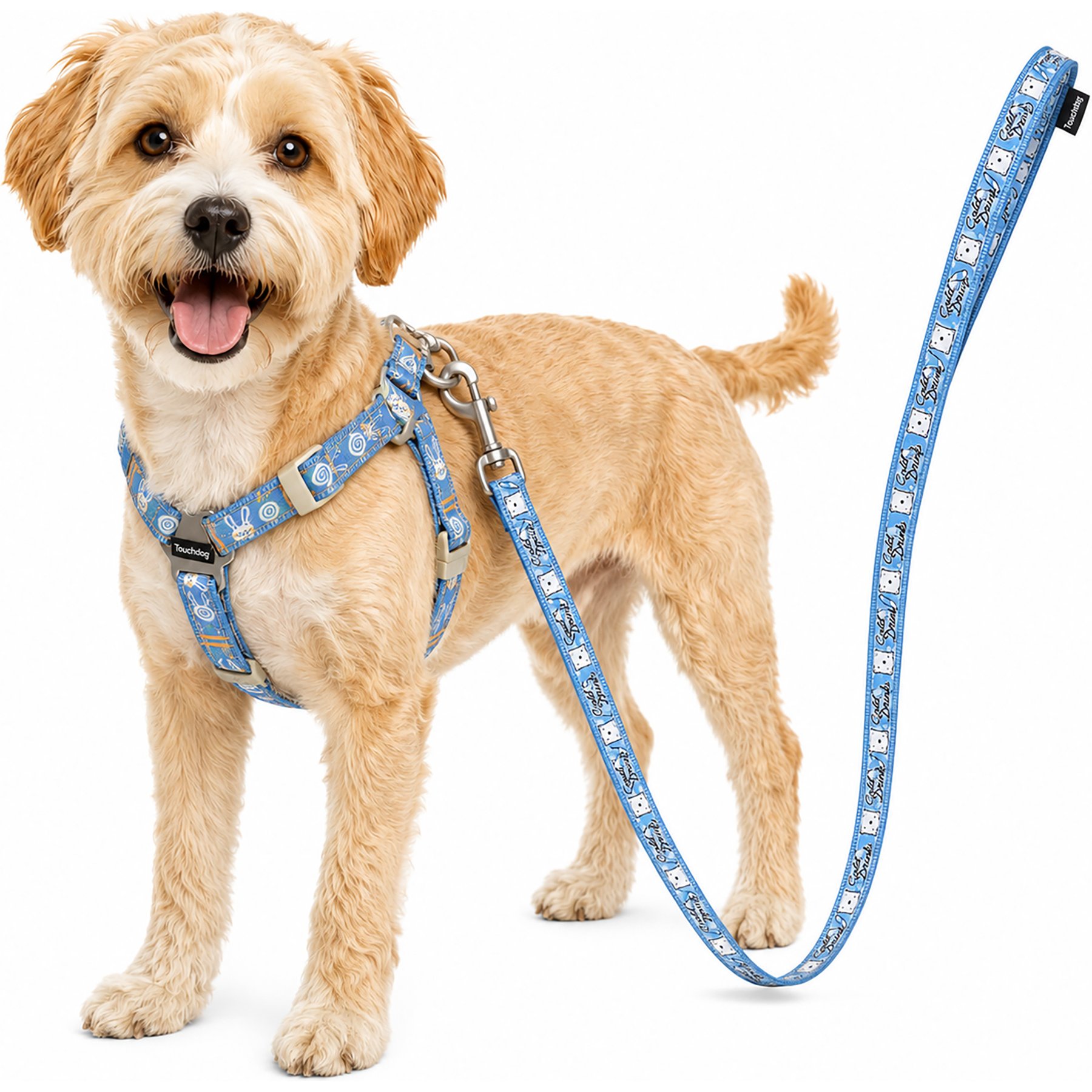 Touchdog Caliber Designer Embroidered Fashion Dog & Cat Leash & Harness, Blue, Medium