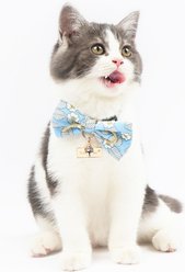 Touchcat Floral Polyester Cat Collar with Bow, Blue, Small: 5.9 to 9-in neck, 0.39-in wide