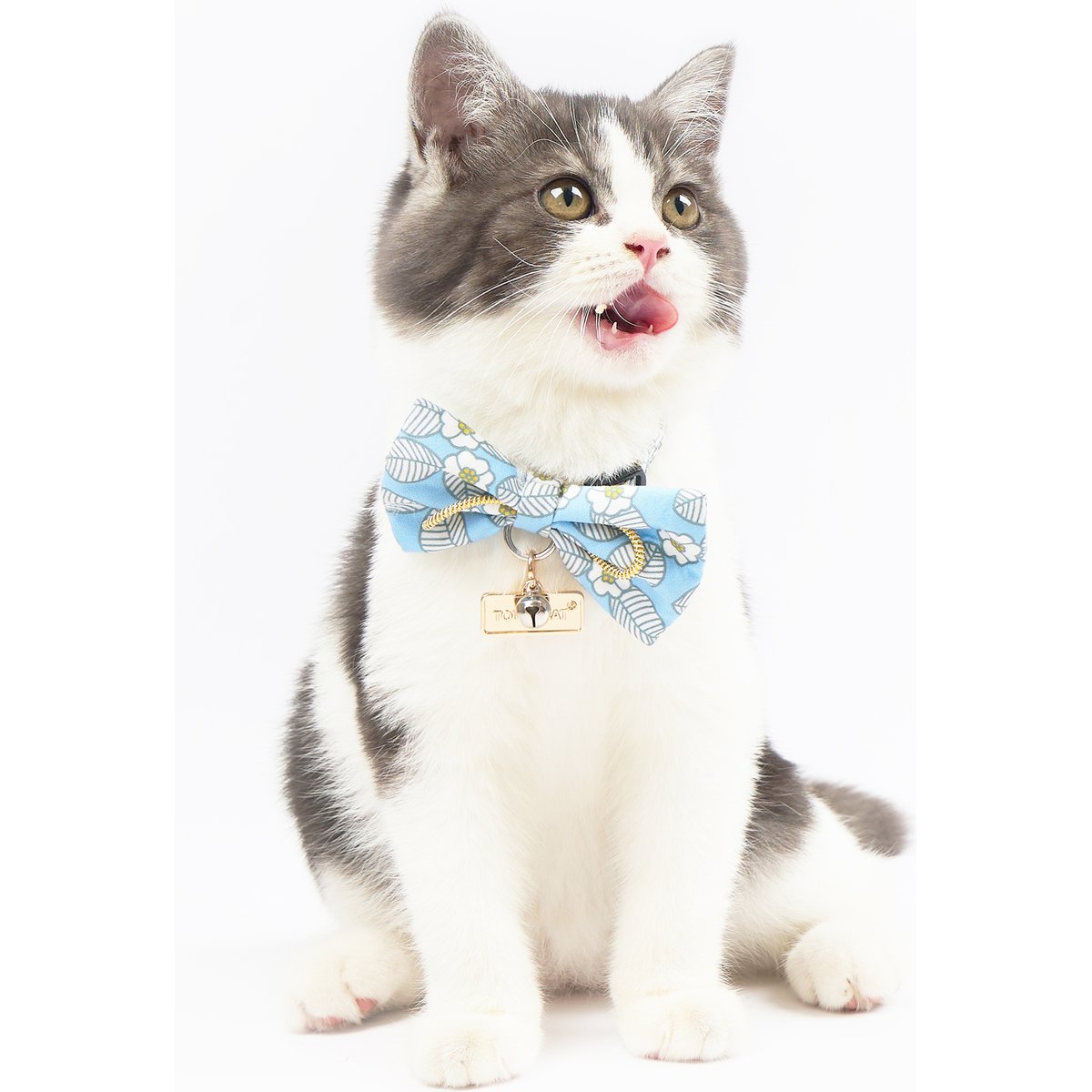 Touchcat Floral Polyester Cat Collar with Bow, Blue, Large: 7.87 to 11.81-in neck, 0.39-in wide