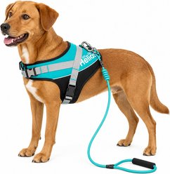Dog Helios Bark-Mudder 3M Reflective Dog Harness & Leash, Teal Blue, Large slide 1 of 6