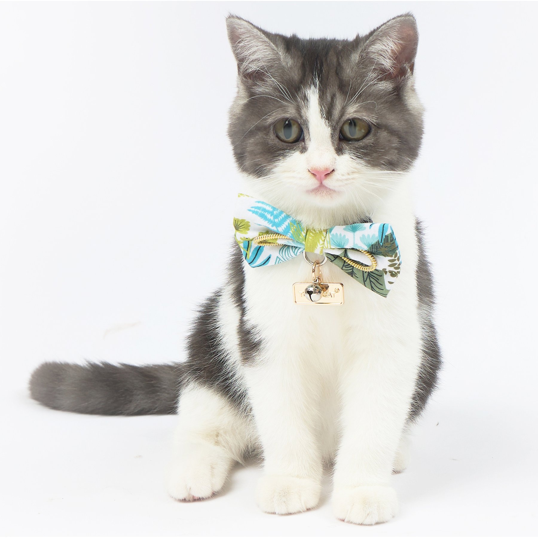 Touchcat Tropical Polyester Cat Collar with Bow, Small: 5.9 to 9-in neck, 0.39-in wide