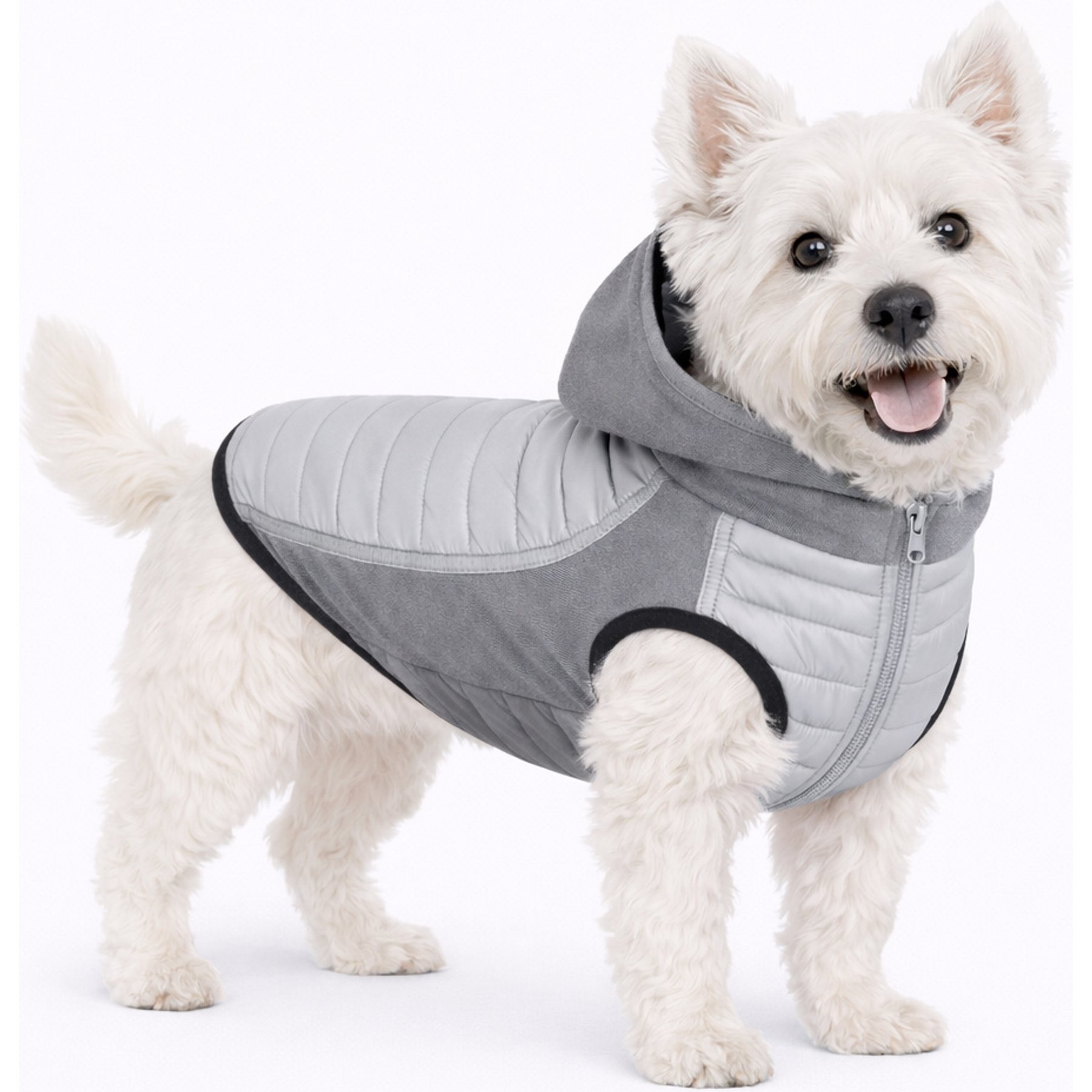 Pet Life Apex Lightweight Hybrid 4-Season Stretch & Quick-Dry Dog Coat, Grey, X-Small