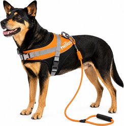 Dog Helios Bark-Mudder 3M Reflective Dog Harness & Leash, Orange, Large