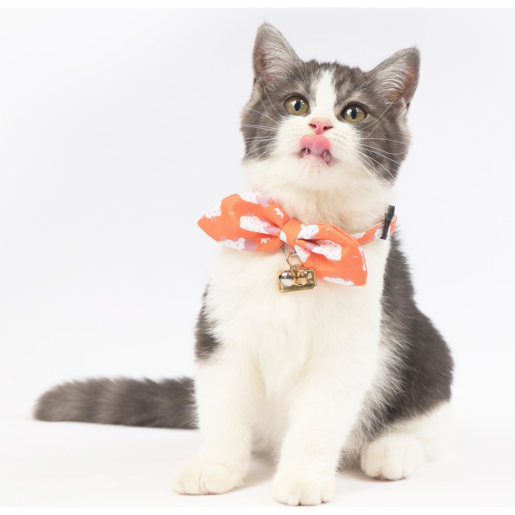 Touchcat Shepherd Polyester Cat Collar with Bow, Sunkist Orange, Small: 5.9 to 9-in neck, 0.39-in wide