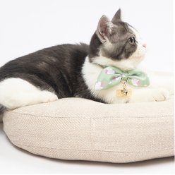 Touchcat Shepherd Polyester Cat Collar with Bow, Green, Small: 5.9 to 9-in neck, 0.39-in wide slide 2 of 5