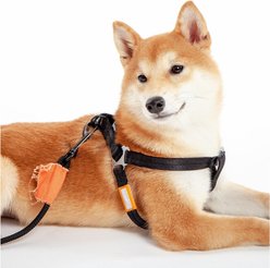 Touchdog Macaron 2-in-1 Durable Nylon Dog Harness & Leash, Black, Small slide 2 of 6
