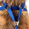 Show in main carousel: Pet Life Luxe Spawling 2-In-1 Mesh Reversible Dog Harness & Leash, Blue, Medium slide 7 of 8