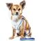 Show in main carousel: Pet Life Luxe Spawling 2-In-1 Mesh Reversible Dog Harness & Leash, Blue, Medium slide 3 of 8