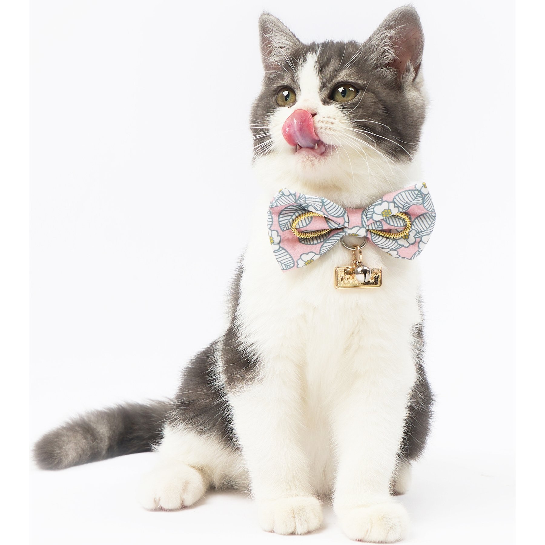 Touchcat Floral Polyester Cat Collar with Bow, Pink, Large: 7.87 to 11.81-in neck, 0.39-in wide