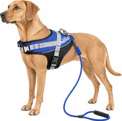 Dog Helios Bark-Mudder 3M Reflective Dog Harness & Leash, Blue, Large slide 1 of 7