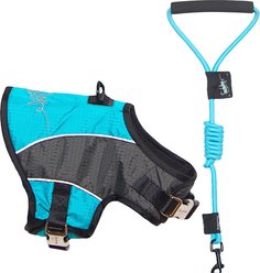 Touchdog Reflective Max 2-in-1 Premium Performance Adjustable Dog & Cat Harness & Leash, Turquoise Blue, Medium
