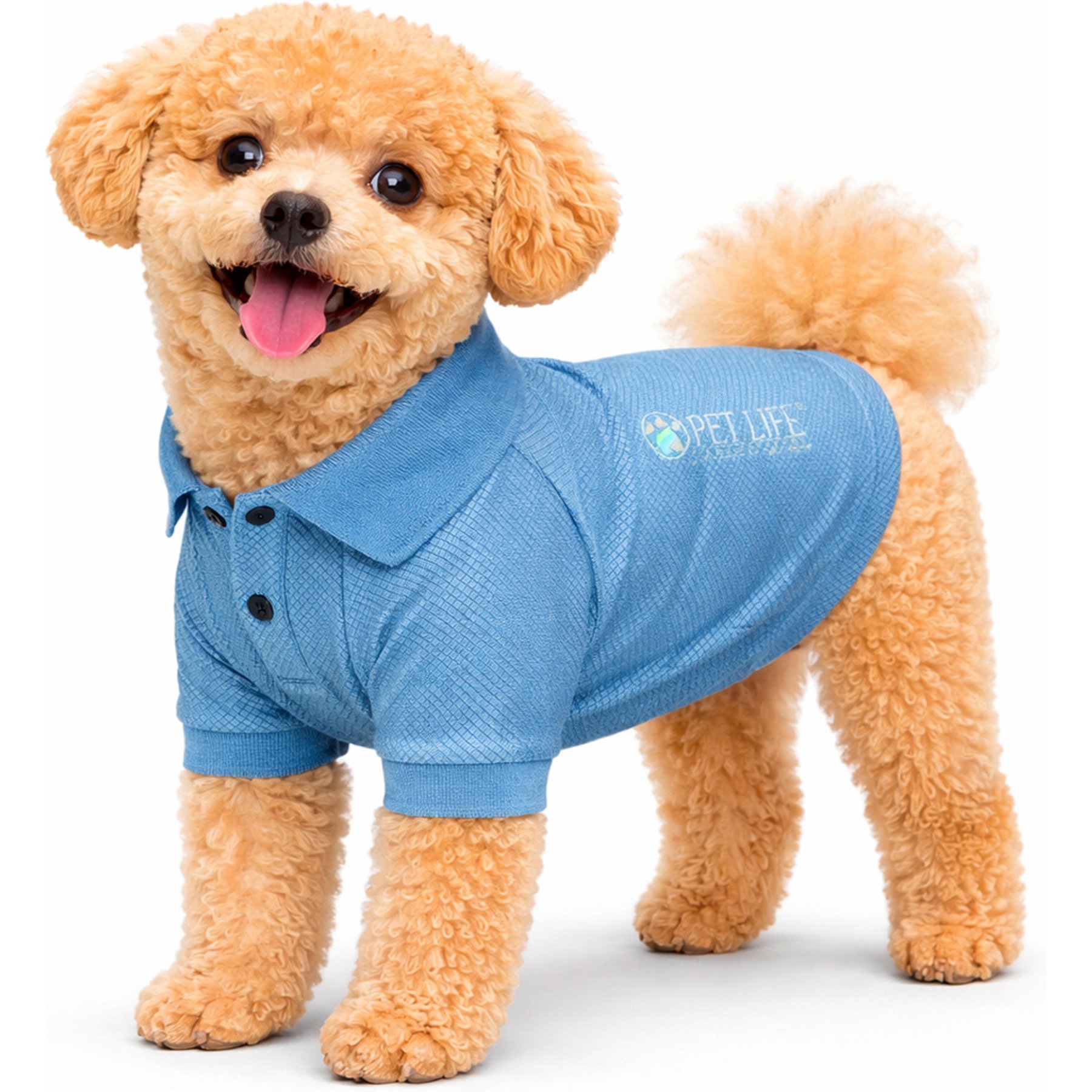 Pet Life Active 'Fur-Flexed' Relax-Stretch Wick-Proof Performance Dog Polo T-Shirt, Blue, Small