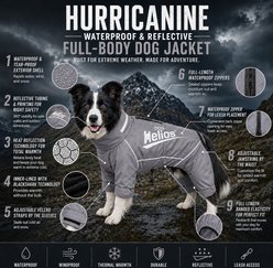 Dog Helios Hurricanine Waterproof & Heat Reflective Full Body Dog Coat Jacket, Grey, X-Large slide 2 of 9