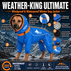 Dog Helios Weather King Full Body Dog Jacket, Blue, X-Large slide 2 of 8