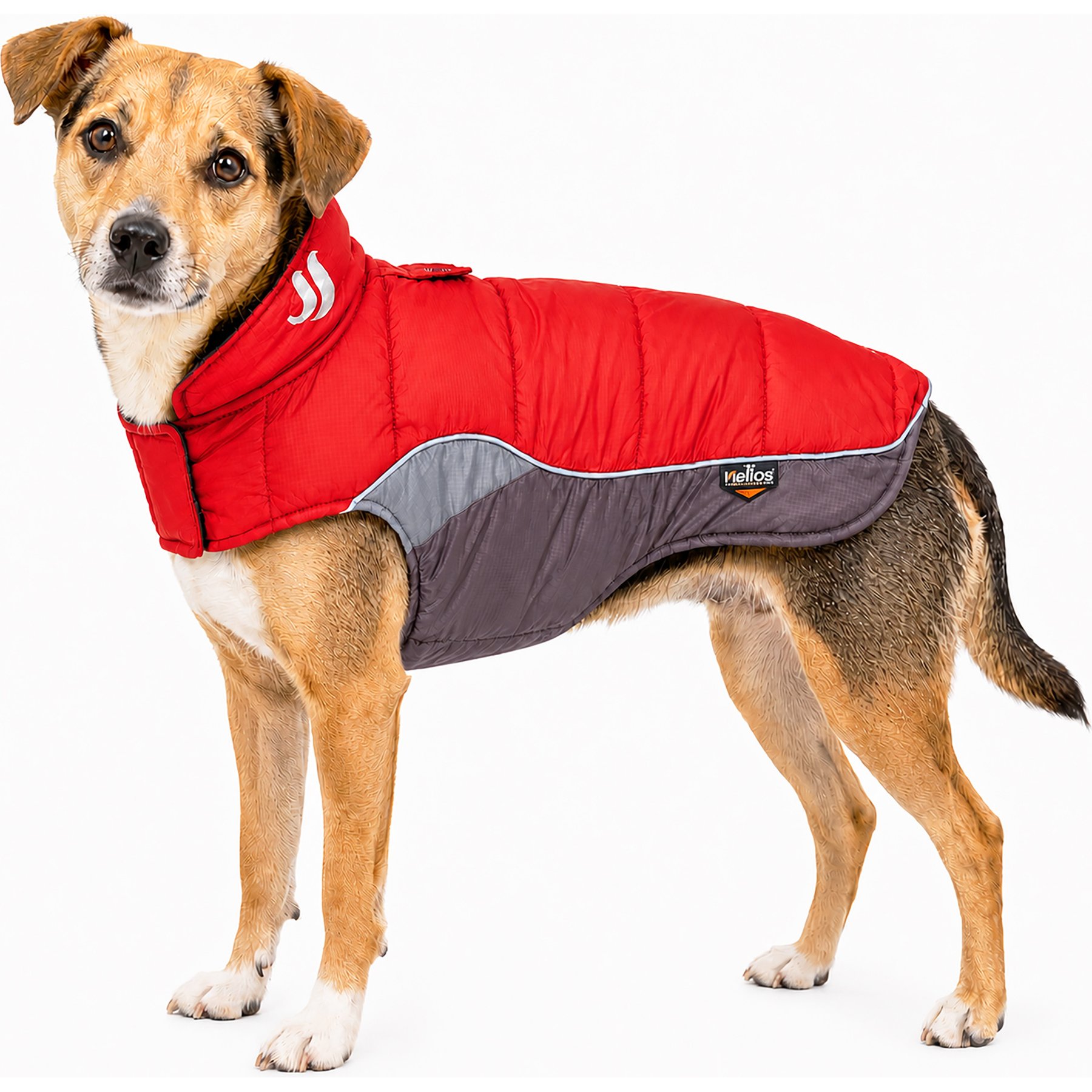 Dog Helios Hurricane Reflective Dog Coat, Red, Small